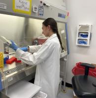 MLS student Hannah Palacios works in the lab.