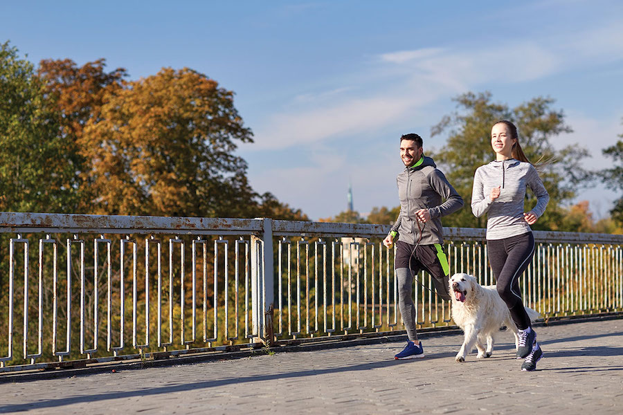 Running family with dog