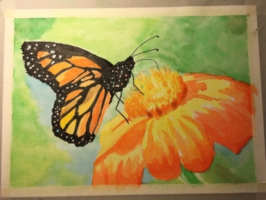 lattimore butterfly