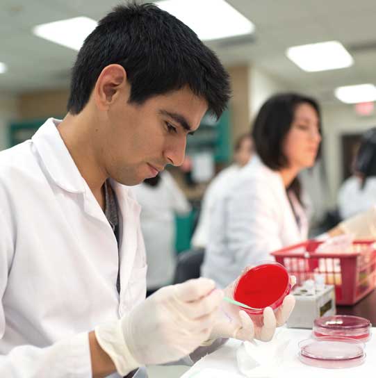 medical and clinical laboratory technologists