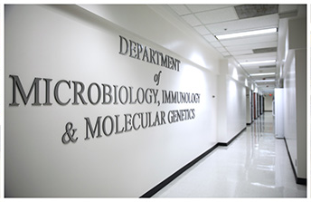 Department of Microbiology, Immunology and Molecular Genetics hallway sign
