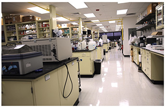 Empty lab with equipment