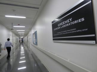 Image inside the Greehey building
