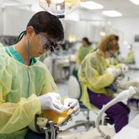 A predoctoral dentistry student in scrubs and gloves looking through microscopic glasses.