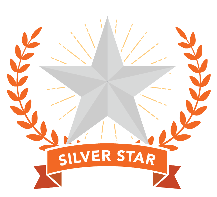 Silver Star Award