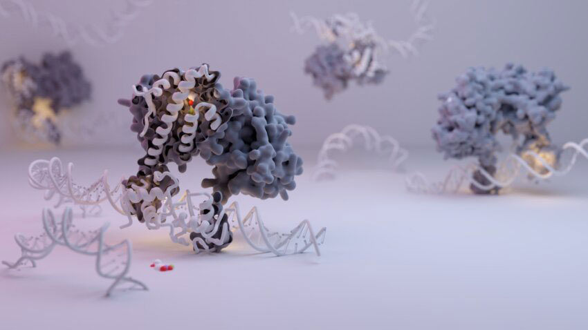 image of multi colored brain gene models