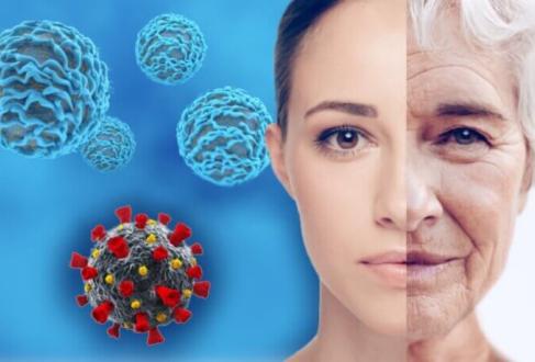 Sunil Ahuja, Muthu Manoharan et al. describe immune resilience to explain why some people, regardless of age, have impact immune systems and reduced inflammation while others do not. The blue-clad spheres are T-cells. The lower sphere is COVID-19 featuring its characteristic red spike proteins. Illustration courtesy the research team.