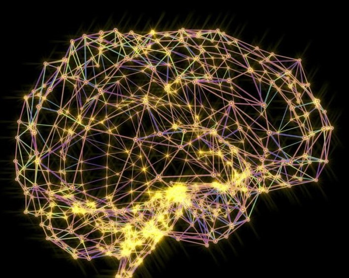 Brain Stock