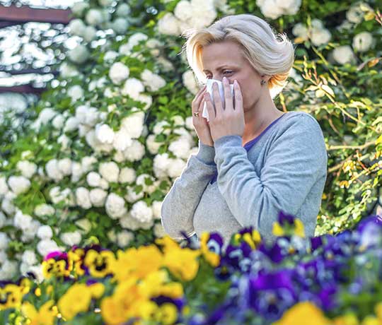 Woman with allergies sneezing