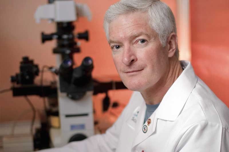 Dr. Hargreaves
