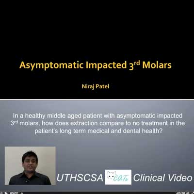 CATs video image