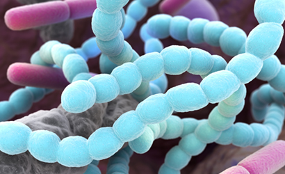 Halitosis, bad breath bacteria