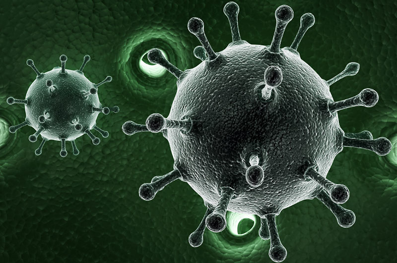virus cells