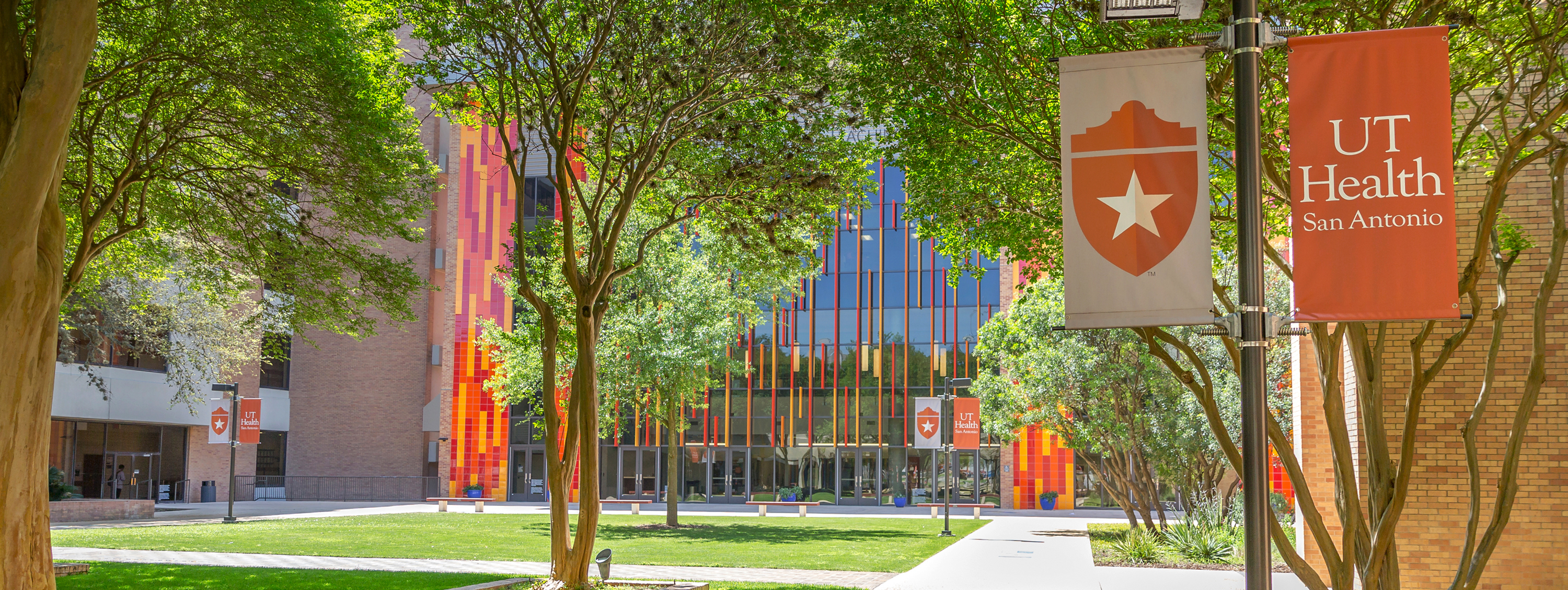 Alt C building