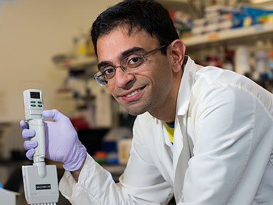 Dr. Ketan Marballi