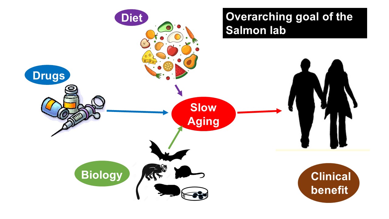 Overarching goals of the Salmon lab