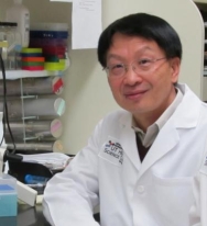 Feng Liu, Ph.D.