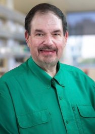 Michael Wargovich