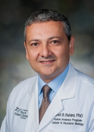 Rahimi, Omid B. 