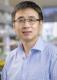 Yan Xiang