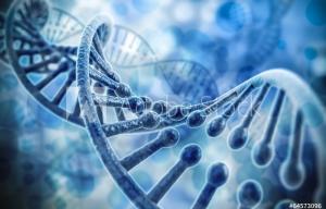 dna strand