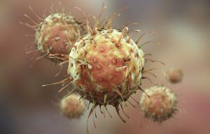 Molecular Immunology and Microbiology