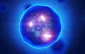 Molecular Biophysics and Biochemistry