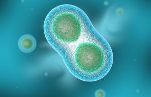 cell biology