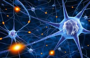 neuroscience