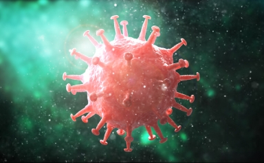 Virus Image