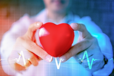 Doctor's hands holding a heart