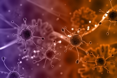 virus cells