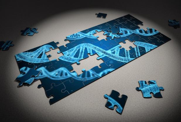 Bioinformatics puzzle