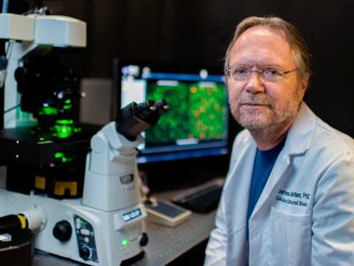 Dr. James Lechleiter professor cellular structural biology UT Health Science Center San Antonio