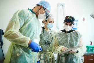 Dentist and assistants looking at chart